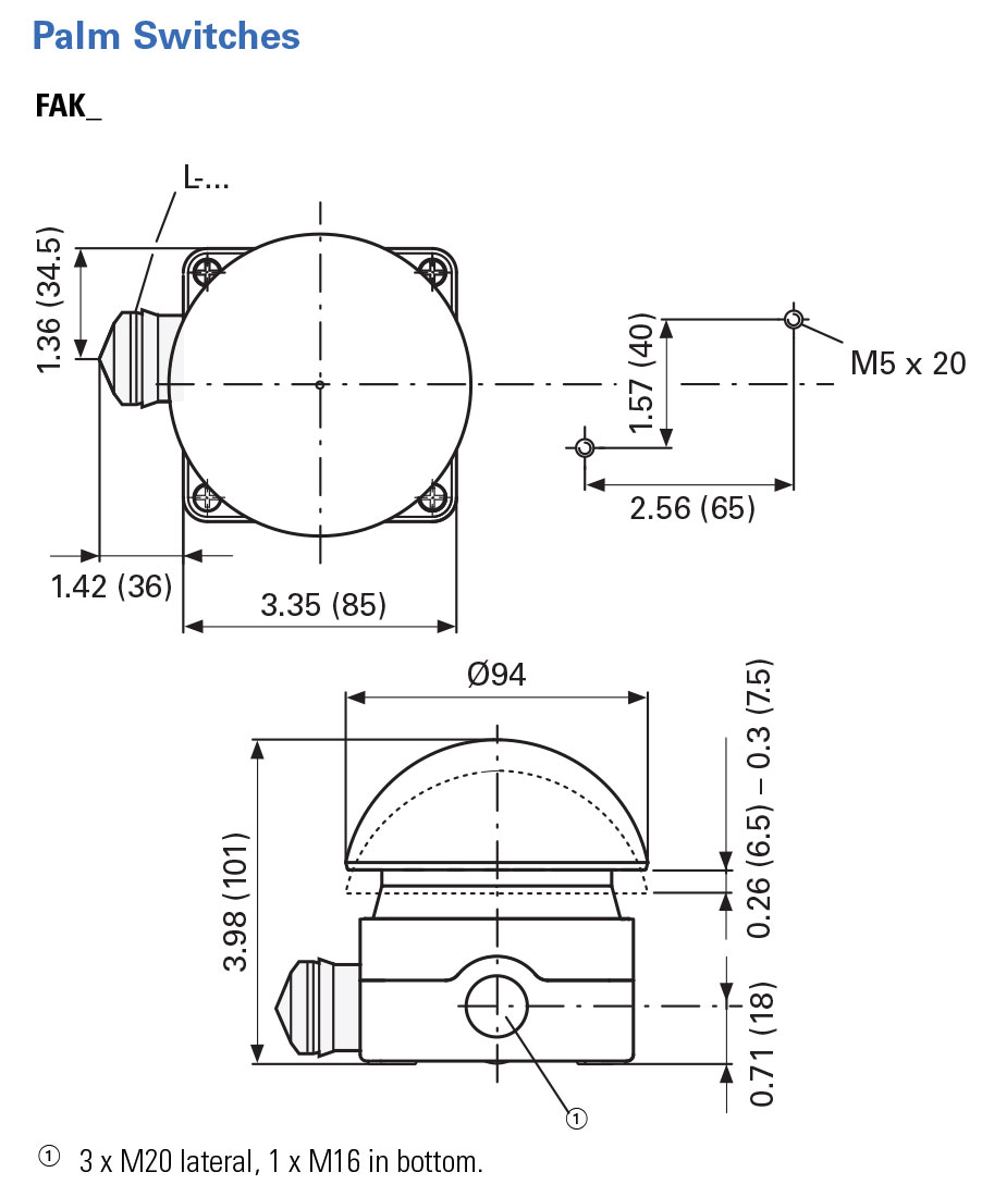 Palm & Foot Switch (FAK) Dimensions